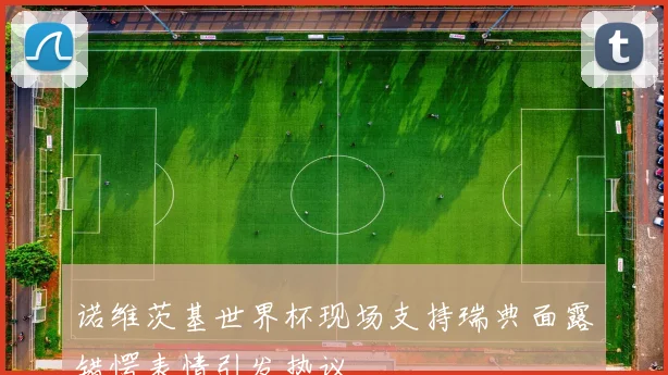 诺维茨基世界杯现场支持瑞典面露错愕表情引发热议